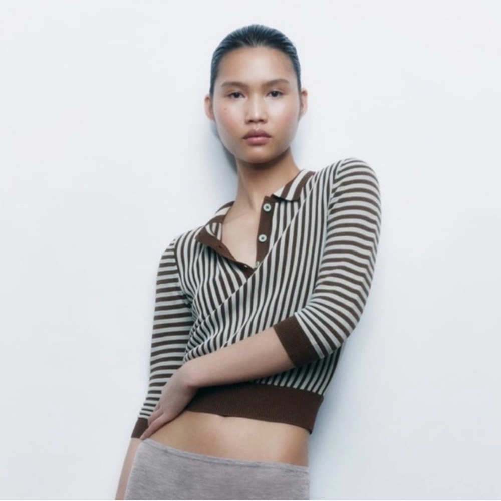 Zara Brown and Light Green Striped Knit Polo